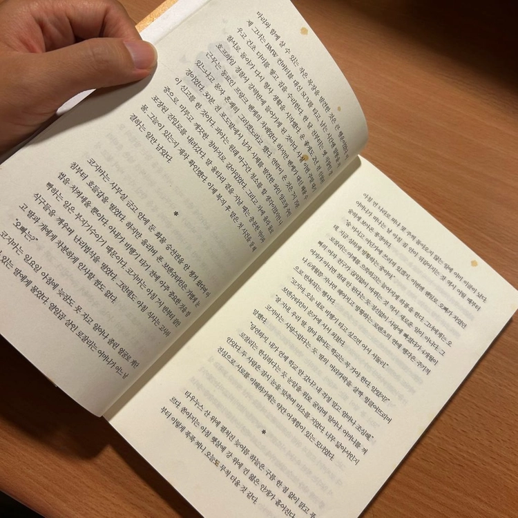 [책/소설] 사랑받지 못한 여자_넬레 노이하우스 (북로드) (추리소설/미스터리/베스트셀러) 이미지