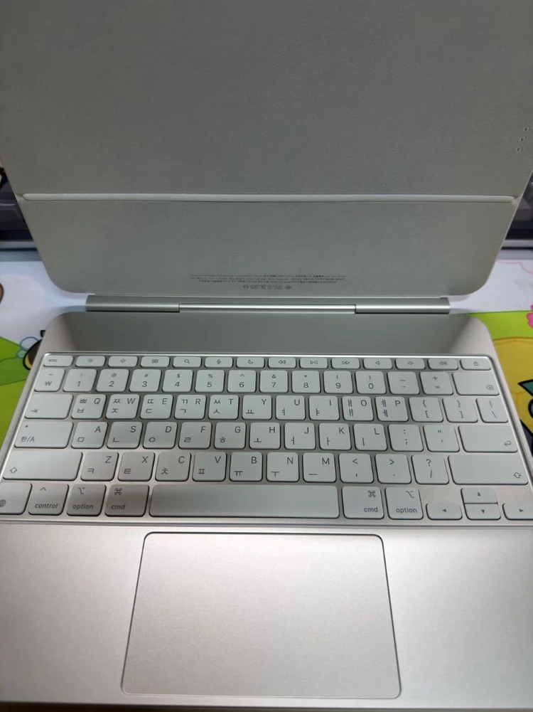 아이패드 프로13 M4 256GB WIFI 실버(매키 및 펜슬 포함) 이미지
