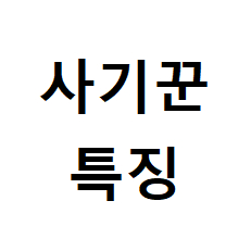 그래픽카드 사기꾼 특징 (예시: 3060ti 3070ti 3080ti 4070 super 4070ti 4080ti) 이미지