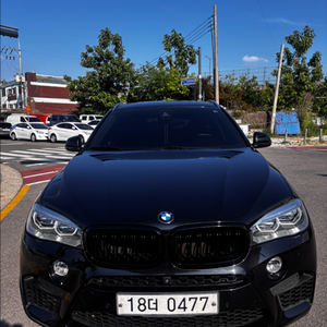 중형 디젤 SUV 이미지