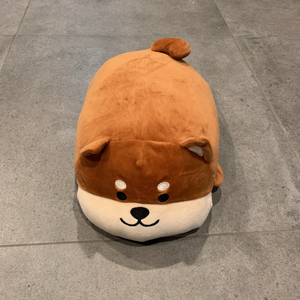 다이소 시바견 인형 이미지