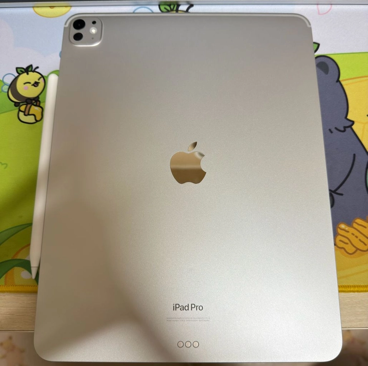 아이패드 프로13 M4 256GB WIFI 실버(매키 및 펜슬 포함) 이미지