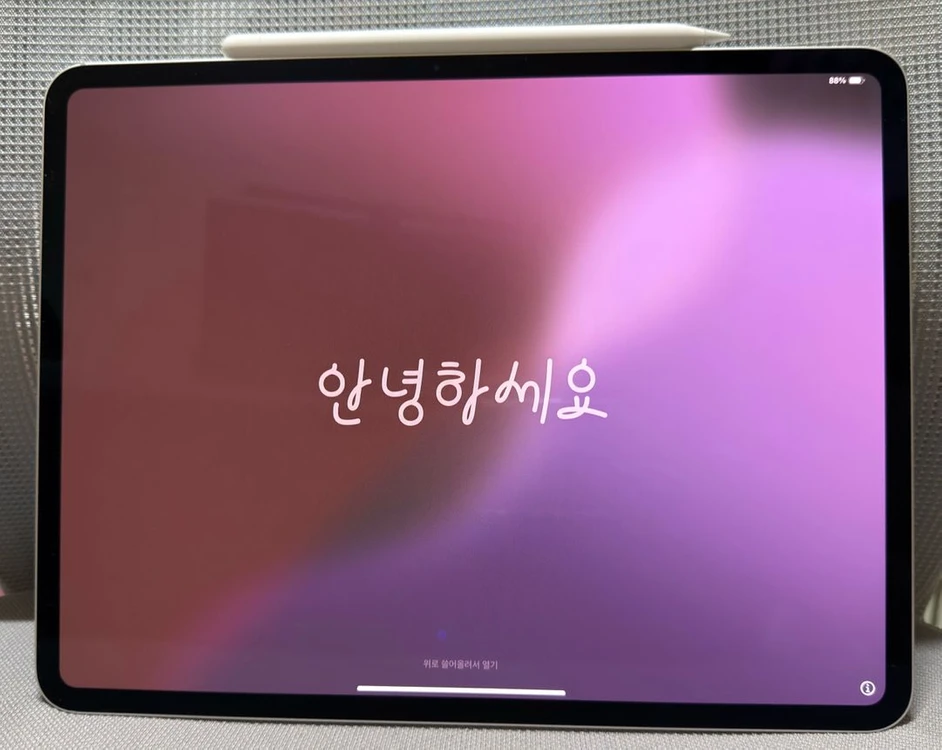 아이패드 프로13 M4 256GB WIFI 실버(매키 및 펜슬 포함) 이미지