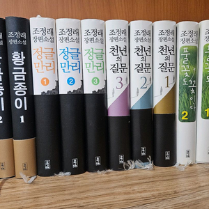 조정래 소설 이미지
