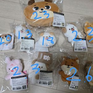 데이식스 md처분 이미지