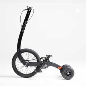 삽니다)하프바이크 halfbike 스탠딩자전거 삽니다 이미지
