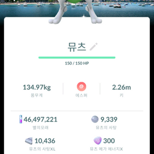 포켓몬 고 모든 배경 뮤츠 이로치 이미지
