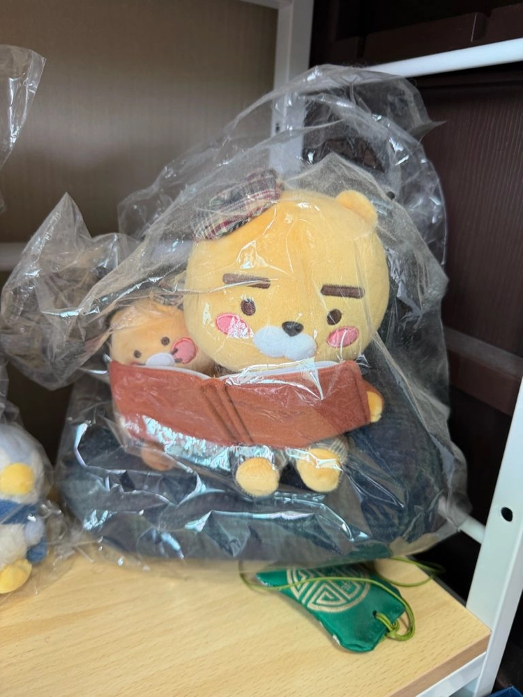 라이언 및 춘식이 미개봉 한정판 인형 이미지