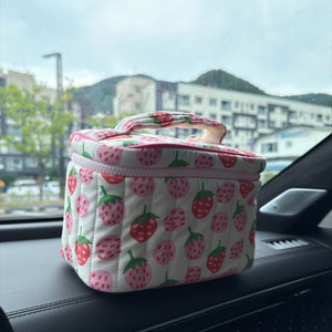 프레젠트프로젝트 콜드백 빅베리 이미지