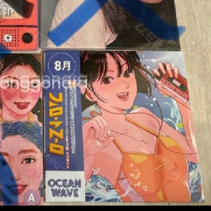 김아름, 치즈, 옥수사진관 등 이미지