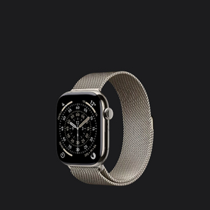 애플워치 11 내추럴 티타늄 46mm 밀레니즈 루프 + 애케플 이미지