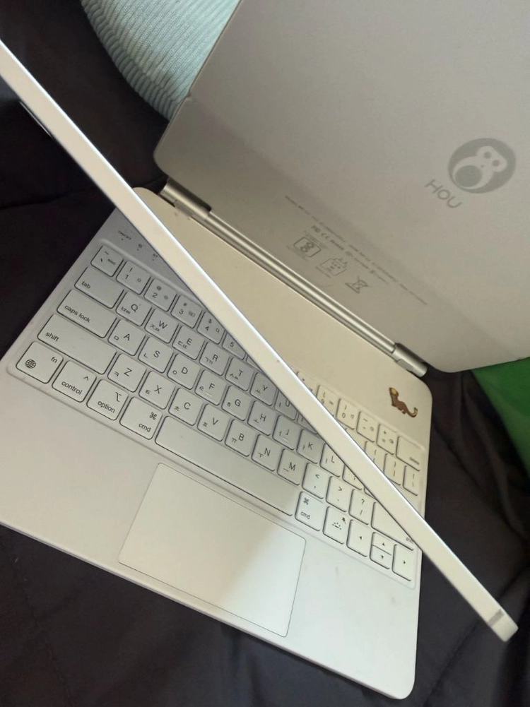 아이패드 13프로 m4 256기가 셀룰러 이미지