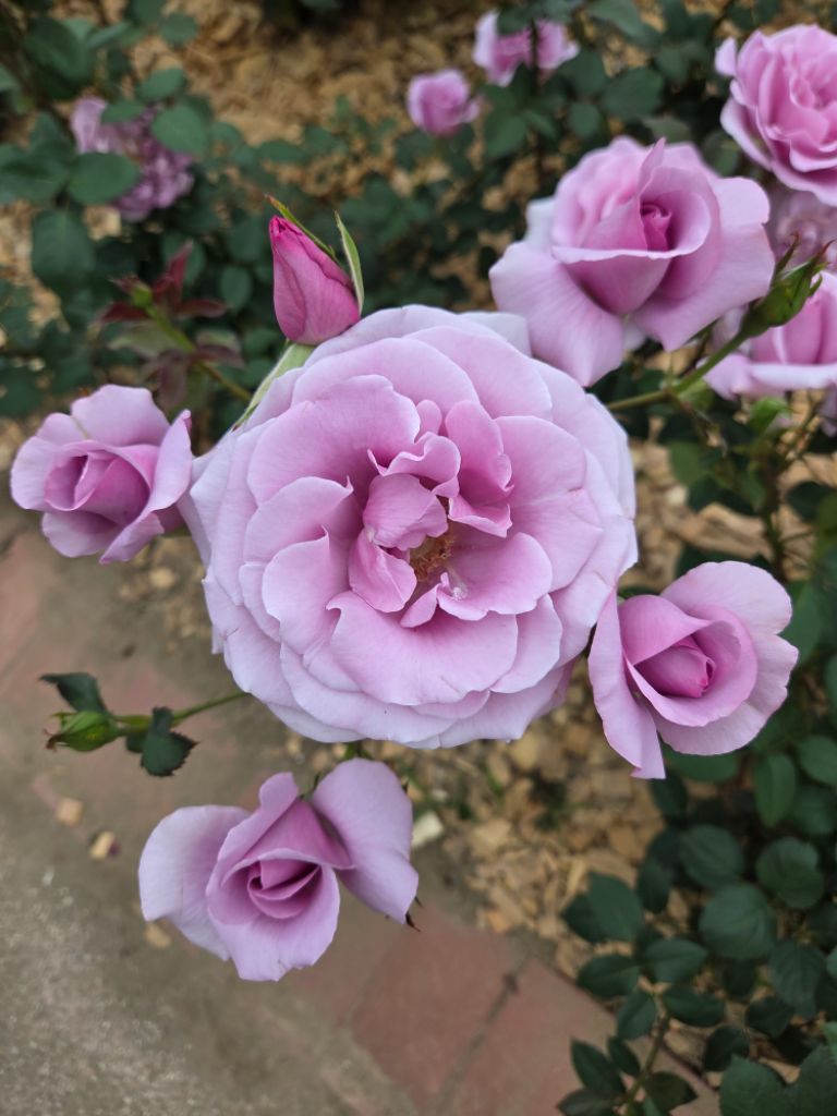 프로필 이미지
