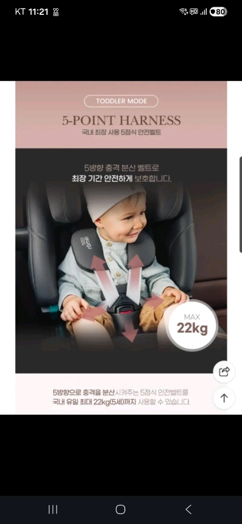 브라이텍스카시트 이미지