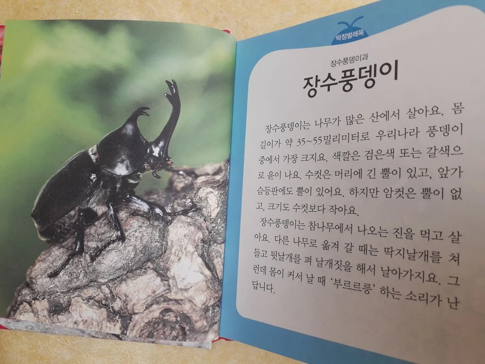 애플비 테마과학백과 시리즈 총 6권 이미지