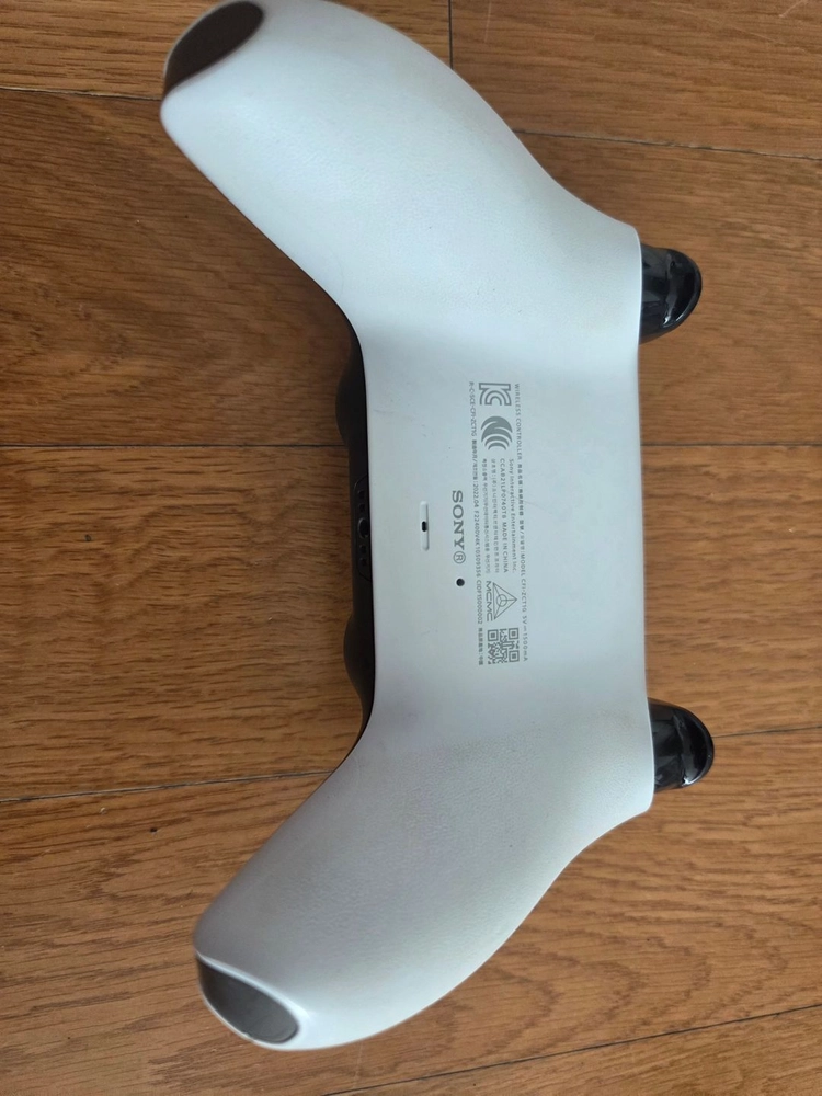 PS5 디스크 + 루아 시디 이미지