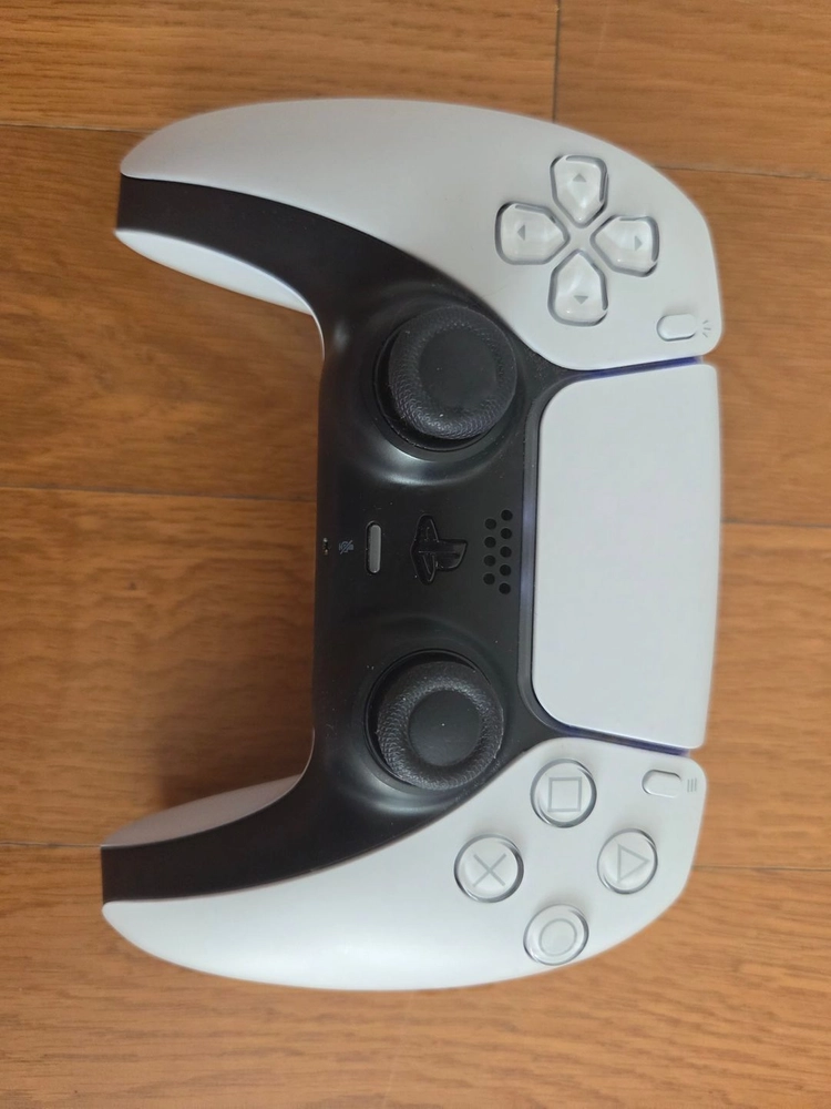 PS5 디스크 + 루아 시디 이미지