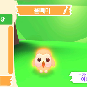 입양하세요 펫 네온 올빼미(부엉이)(네뵝)판매합니다 이미지