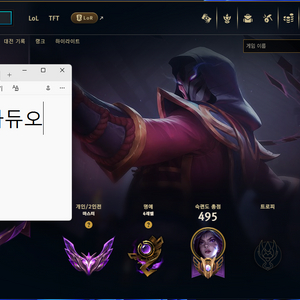 롤 LOL 듀오 맡김 할인중 이미지