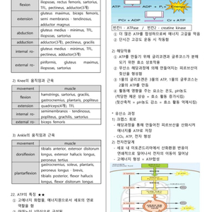 운동사 카셉 kacep 시험대비 요약본 이미지