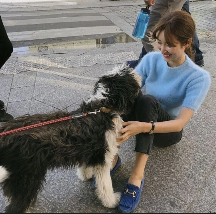 페이우 앙고라 니트 이미지