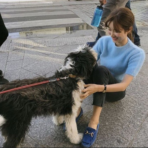 페이우 앙고라 니트 이미지