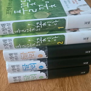 조정래 소설 이미지