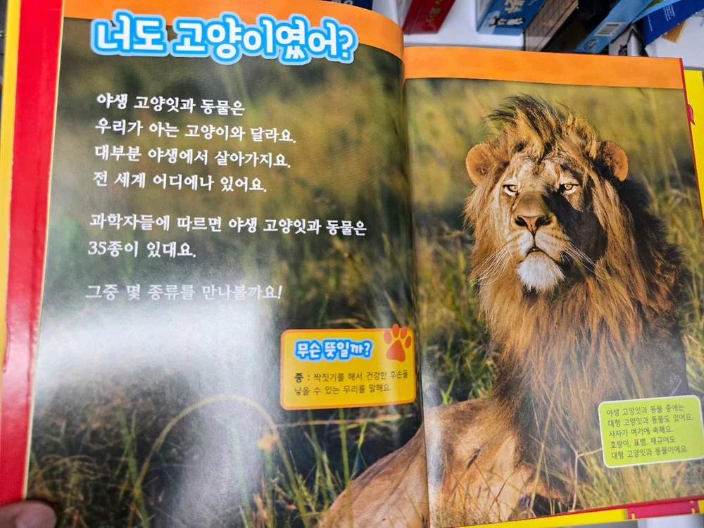내셔널지오그래픽 키즈 전 60권 (한글/영어) 이미지