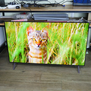 엘지 올레드 55인치 스마트 TV OLED55B4KNA 이미지