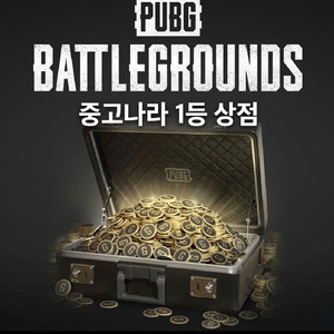(안심결제O)배그 코인 블랙마켓대비 스킨 11200g 이미지