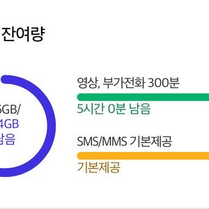 skt 데이터선물 2기가 이미지