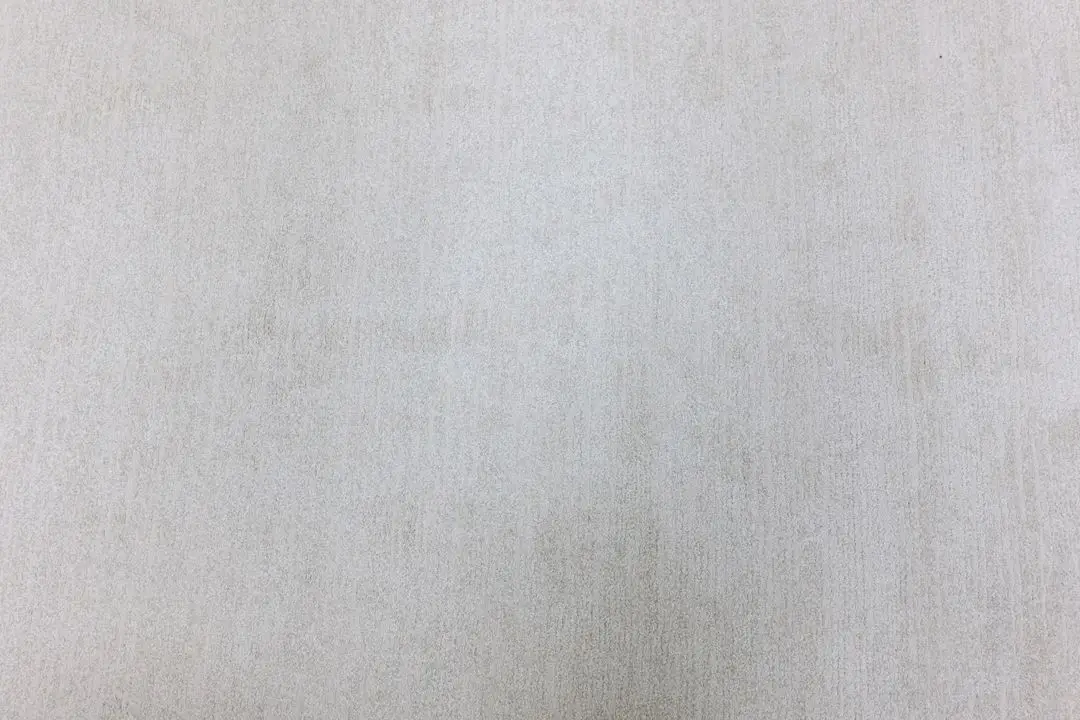 새제품 JS Carpet Trentino 러그 160x230 벨기에 카페트 (정가38) 이미지
