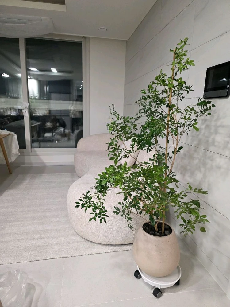 새제품 JS Carpet Trentino 러그 160x230 벨기에 카페트 (정가38) 이미지