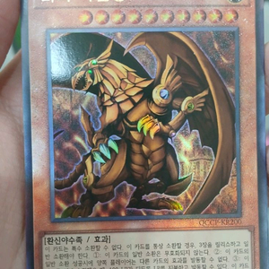 라의 익신룡 얼티 팝니다. 이미지