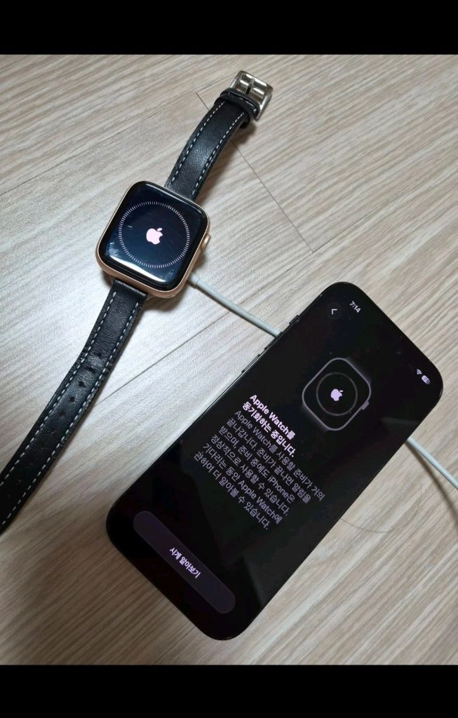 애플워치 SE 44mm GPS 골드 / 정상작동 / 충전기 포함 이미지