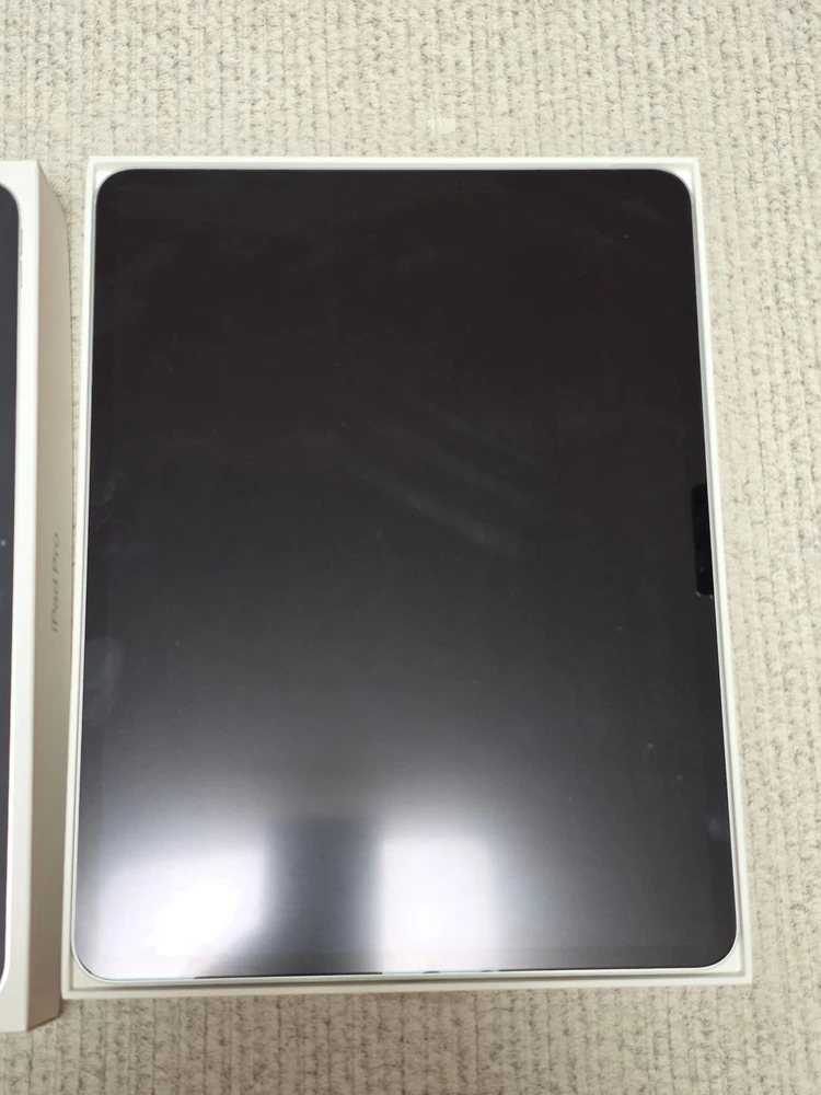 아이패드 프로 13 M4 256gb wifi 실버, 애플펜슬 프로 판매 이미지