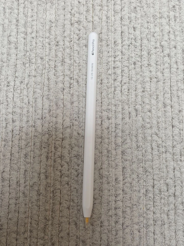 아이패드 프로 13 M4 256gb wifi 실버, 애플펜슬 프로 판매 이미지