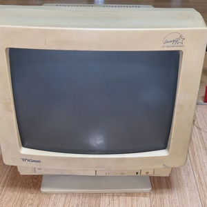 트라이젬 슈퍼VGA 구형 컴퓨터용 컬러 모니터 DG2424CP 이미지