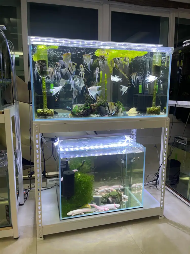 (경기 북부) 고급 올인원 수조 세트 (상단 3자 광폭, 하단 2자 광폭) 철제 어항 받침대 축양장 S급 판매 이미지