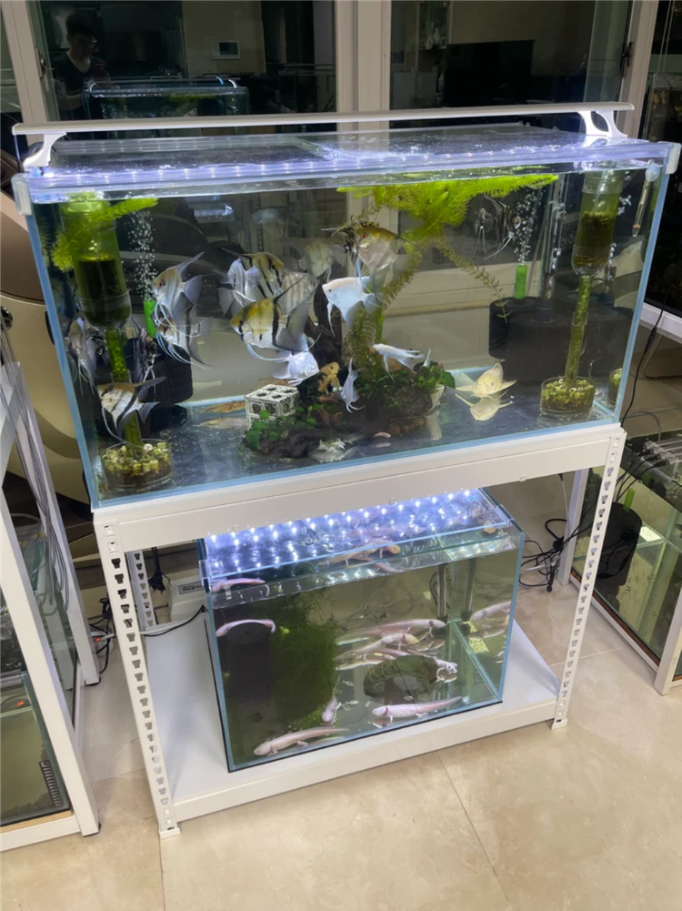 (경기 북부) 고급 올인원 수조 세트 (상단 3자 광폭, 하단 2자 광폭) 철제 어항 받침대 축양장 S급 판매 이미지