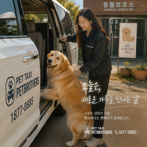 [펫택시, 애견택시] 댕댕이,냥이 PET VIP 비지니스 쿠폰_ “반려동물 전용 Premium서비스 이미지