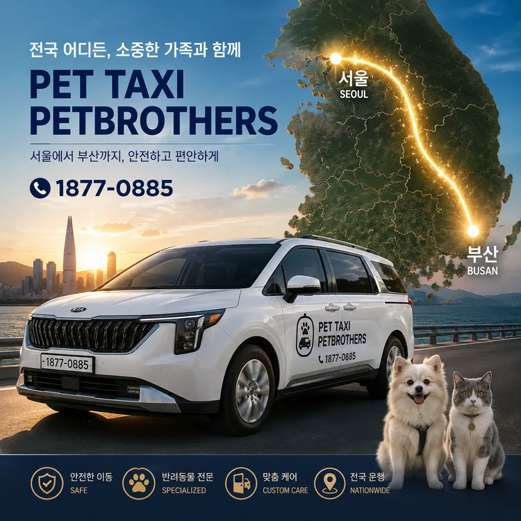 [펫택시, 애견택시] 댕댕이,냥이 PET VIP 비지니스 쿠폰_ “반려동물 전용 Premium서비스 이미지