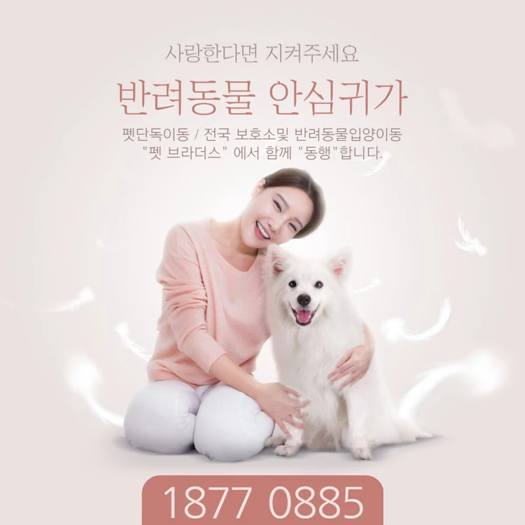 [펫택시, 애견택시] 댕댕이,냥이 PET VIP 비지니스 쿠폰_ “반려동물 전용 Premium서비스 이미지