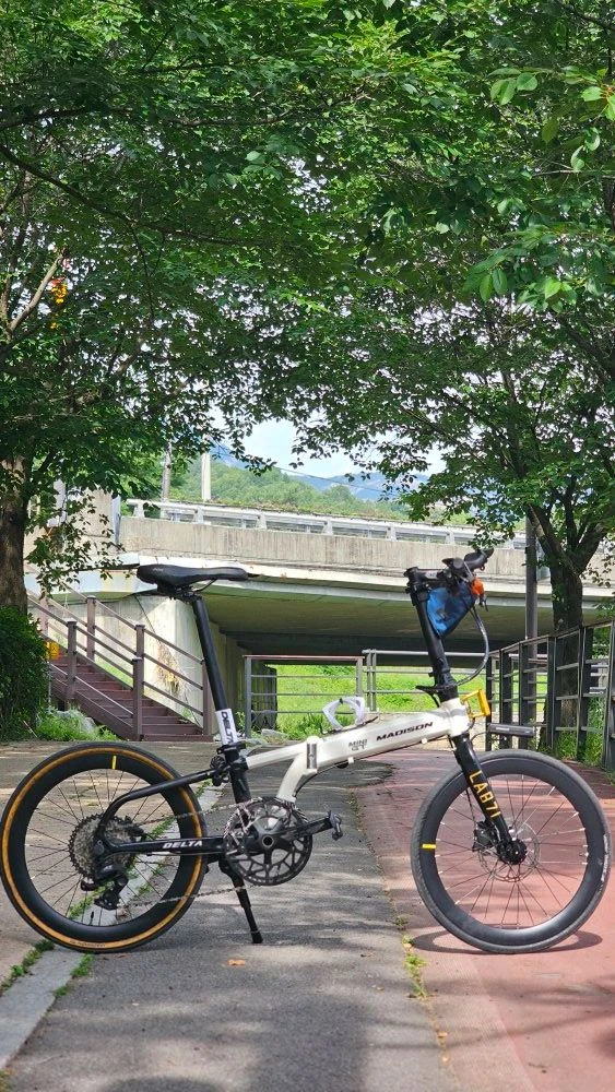 메디슨델타10se 튜닝버젼 미니벨로0 이미지