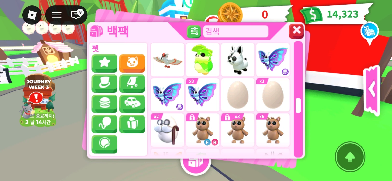 입양하세요 펫 팔아요 이미지