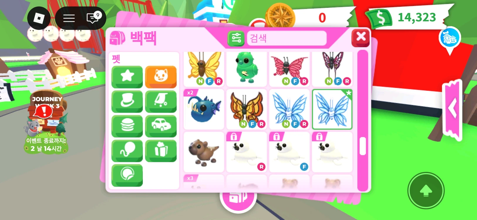 입양하세요 펫 팔아요 이미지