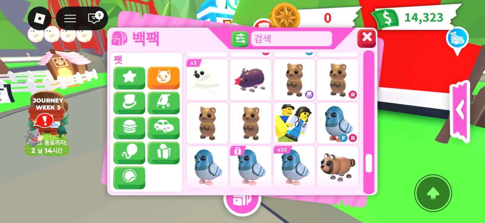 입양하세요 펫 팔아요 이미지