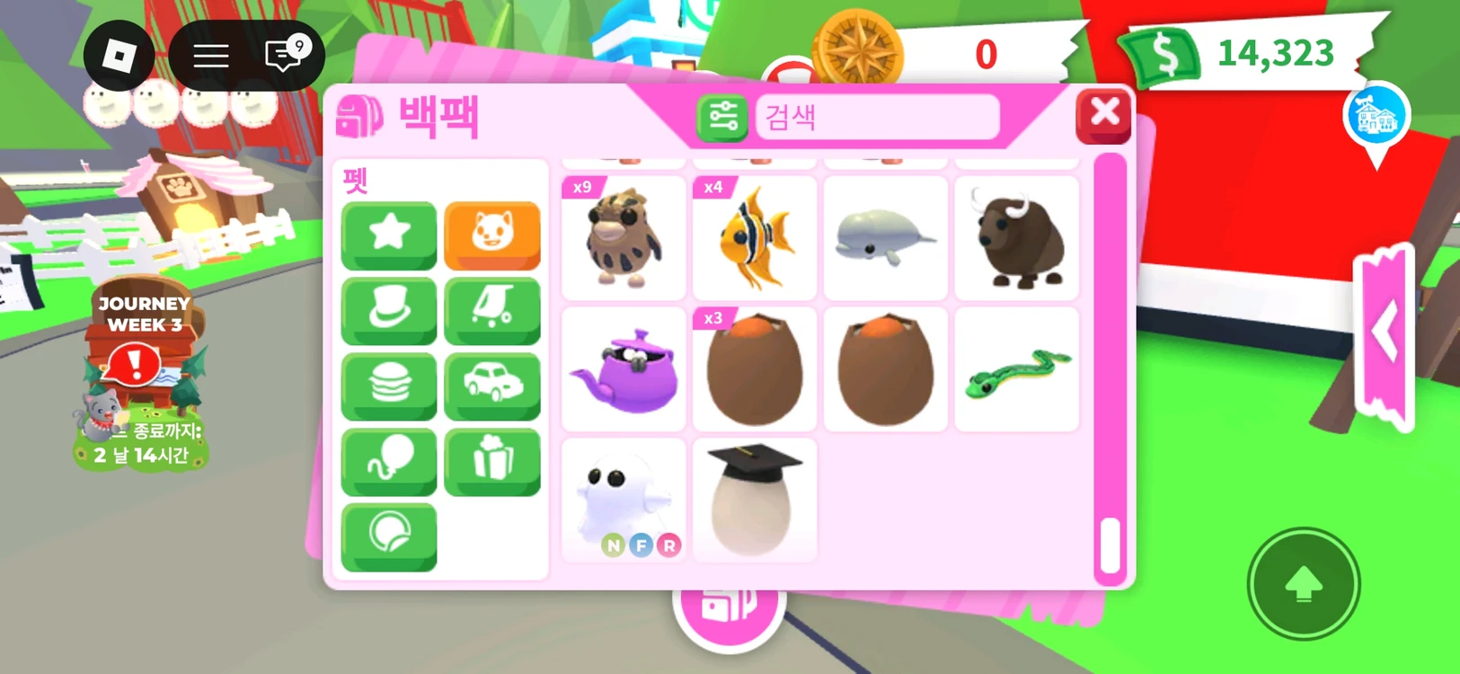 입양하세요 펫 팔아요 이미지