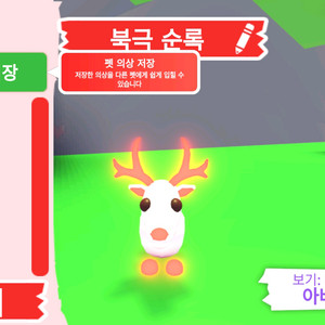 입양하세요 펫 메가네온 북극 순록(메흰순) 판매합니다 이미지