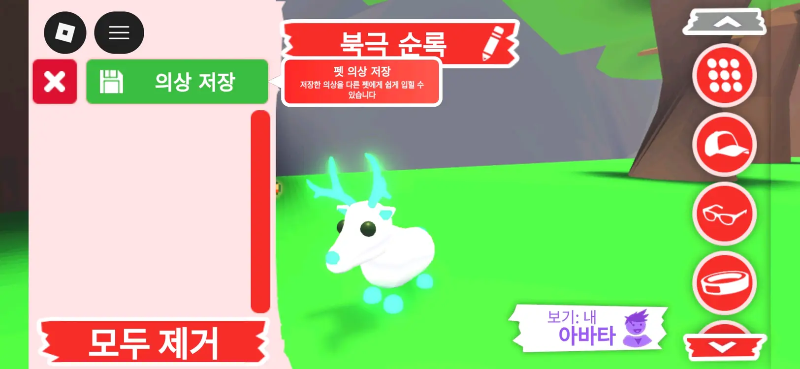 입양하세요 펫 메가네온 북극 순록(메흰순) 판매합니다 이미지